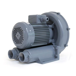 Side Channel Blowers - Ring Blowers